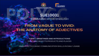 From Vague to Vivid: The Anatomy of Adjectives