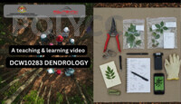 Video Ai - How to Make Herbarium Collection