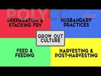 POLIMOOC: GROW OUT CULTURE - PROMO