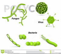 AR Introduction to Hazard - marker biological