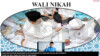 VIDEO PDP - WALI NIKAH DALAM ISLAM