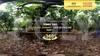 Video 360° - Chocolate Journey - Tree to Praline Bahagian 1