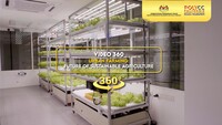 Video 360° - Urban Farming - Future of Sustainable Agriculture