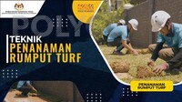 VIDEO PDP - Teknik Penanaman Rumput Turf