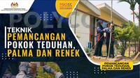 VIDEO PDP -Teknik Pemancangan Pokok Teduhan,Palma dan Renek