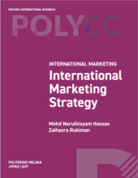 INTERNATIONAL MARKETING STRATEGY