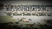 Video AI- Eutrophication - The Silent Death of a Lake