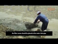 POLIMOOC: GROW OUT CULTURE - POND PREPARATIONS
