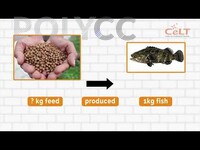 POLIMOOC: GROW OUT CULTURE- FEED CONVERSION RATIO (FCR)
