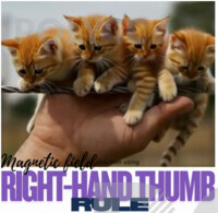 VIDEO AI - ELECTROMAGNETISM; THE MAGNETIC FIELD DIRECTION