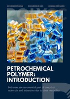 EBOOK PETROCHEMICAL POLYMER INTRODUCTION