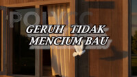 Video PdP AI-DUW10042 OCCUPATIONAL, SAFETY AND HEALTH FOR ENGINEERING