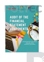 AUDIT OF FINANCIAL STATEMENT COMPONENTS