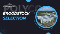VIDEO PDP - Broodstock Selection